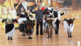 /album/letovice-2026-05/41-jpg3/